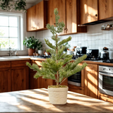Pine Tree Decor with Braided Pot