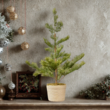 Pine Tree Decor with Braided Pot
